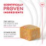 Skin & Coat Supplement Soft Chews for Adult Dogs - View 3