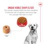 Labrador Retriever Adult Dry Dog Food - View 4