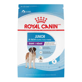 Giant Junior Dry