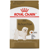 Bichon Frise Adult