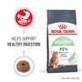 Digestive Care Dry Cat Food - View 2