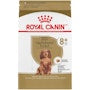 Dachshund 8+ Adult Dry Dog Food - View 1