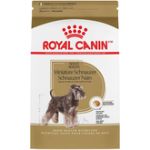 Miniature Schnauzer Adult