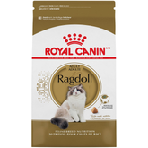 Ragdoll Adult