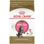 Maine Coon Kitten Dry Cat Food - View 1