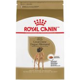 Great Dane Adult