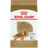 Cocker Spaniel Adult