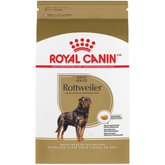 Rottweiler Adult