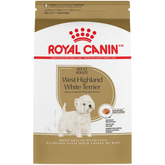 West Highland White Terrier Adult