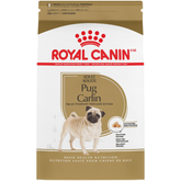Pug Adult