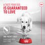 Probiotics for Dogs Digestive and Immune Health Powder Supplement - View 3