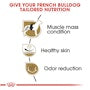 French Bulldog Adult Dry Dog Food - View 4
