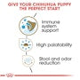 Chihuahua Puppy Dry Dog Food - View 4
