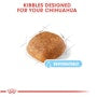 Chihuahua Adult 8+ Dry Dog Food - View 4