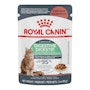 Digestive Care Chunks In Gravy Pouch - View 1