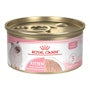 Kitten Loaf in Sauce Canned Cat Food - View 1