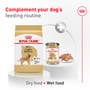 Golden Retriever Adult Dry Dog Food - View 8