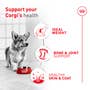 Corgi Adult Dry Dog Food - View 3