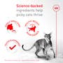 Fussy Adult Dry Cat Food - View 4