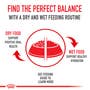 Dachshund Puppy Dry Dog Food - View 7