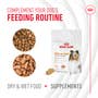 Skin & Coat Supplement Soft Chews for Adult Dogs - View 7
