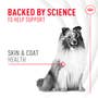 Skin & Coat Supplement Soft Chews for Adult Dogs - View 2