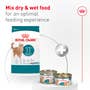 Royal Canin Feline Health Nutrition Aging 11+ - View 7