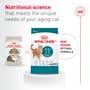 Royal Canin Feline Health Nutrition Aging 11+ - View 6