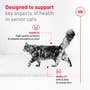 Royal Canin Feline Health Nutrition Aging 11+ - View 8