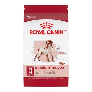 Medium Adult Dry - View 1