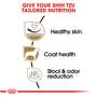Shih Tzu Adult Dry Dog Food - View 4
