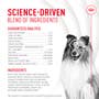 Skin & Coat Supplement Soft Chews for Adult Dogs - View 6