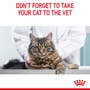 Dental Care Dry Cat Food - View 4