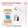 Corgi Puppy Dry Dog Food - View 7