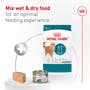Aging 11+ Loaf in Sauce Wet Cat Food - View 7