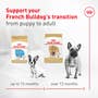 French Bulldog Loaf In Sauce Canned Dog Food - View 4