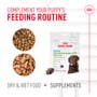 Immunity Digestion Chews (Puppy) - View 7