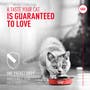 Probiotics for Cats Digestive and Immune Health Powder Supplement - View 5