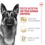 German Shepherd Adult Dry Dog Food - View 3