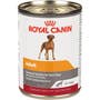 Adult In Gel Canned Dog Food - View 1