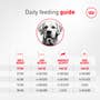Golden Retriever Adult Dry Dog Food - View 5