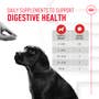 Immunity Digestion Chews (Puppy) - View 2