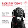 Immunity Digestion Chews (Puppy) - View 3