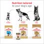 German Shepherd Adult Dry Dog Food - View 4