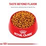 Golden Retriever Puppy Dry Dog Food - View 8