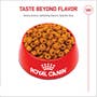 Labrador Retriever Adult Dry Dog Food - View 5
