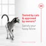 Fussy Adult Dry Cat Food - View 6