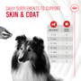 Skin & Coat Supplement Soft Chews for Adult Dogs - View 4
