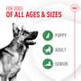 Probiotics for Dogs Digestive and Immune Health Powder Supplement - View 2