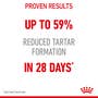 Dental Care Dry Cat Food - View 6